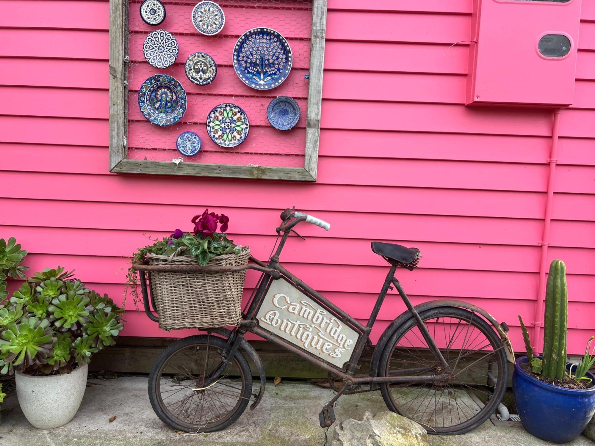 Fridas Accommodation Raglan Exterior photo